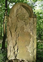 Vorschaubild