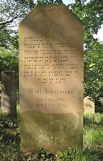 Vorderseite, Aufnahme 2008 Vorschaubild