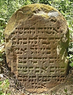 Vorschaubild