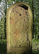 Vorschaubild