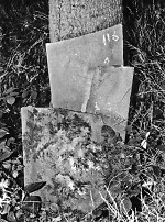 Vorderseite, Aufnahme 1992 Vorschaubild