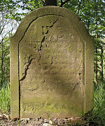 Vorschaubild