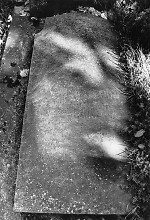 Vorderseite, Aufnahme 1997 Vorschaubild