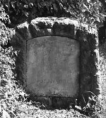Vorderseite, Aufnahme 1989 Vorschaubild
