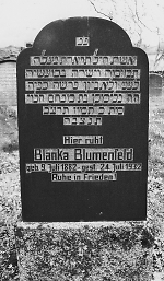 Vorderseite, Aufnahme 2004 Vorschaubild