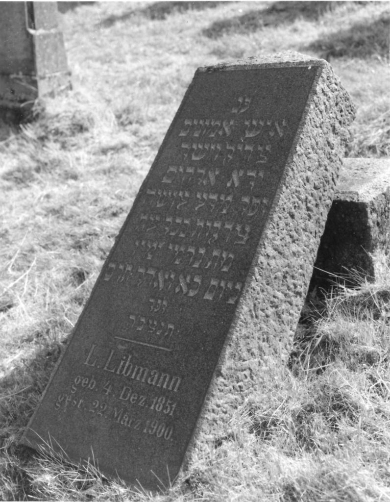 Birkenau-084_V