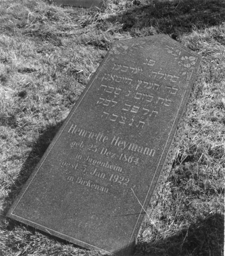 Birkenau-094_V