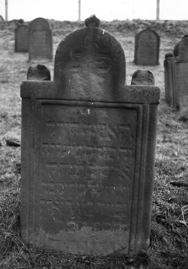 Birkenau-106_V