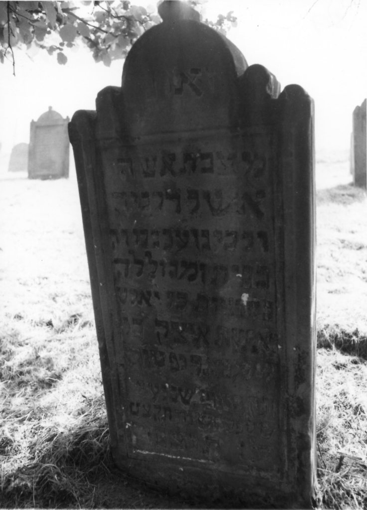 Birkenau-129_V