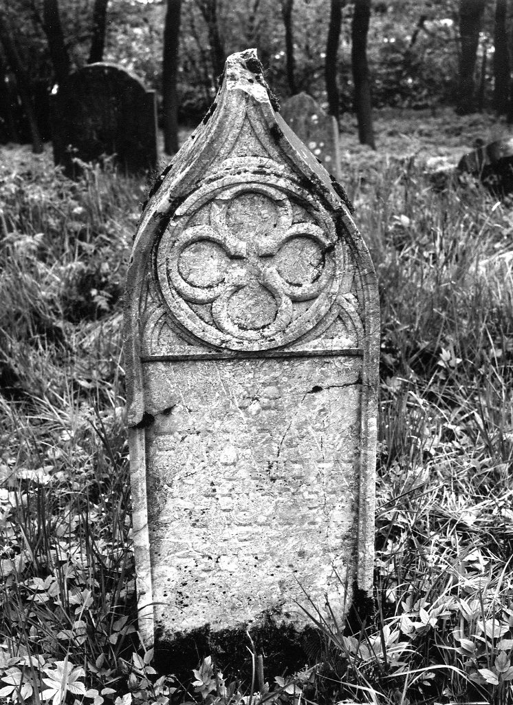 Birstein-307_V