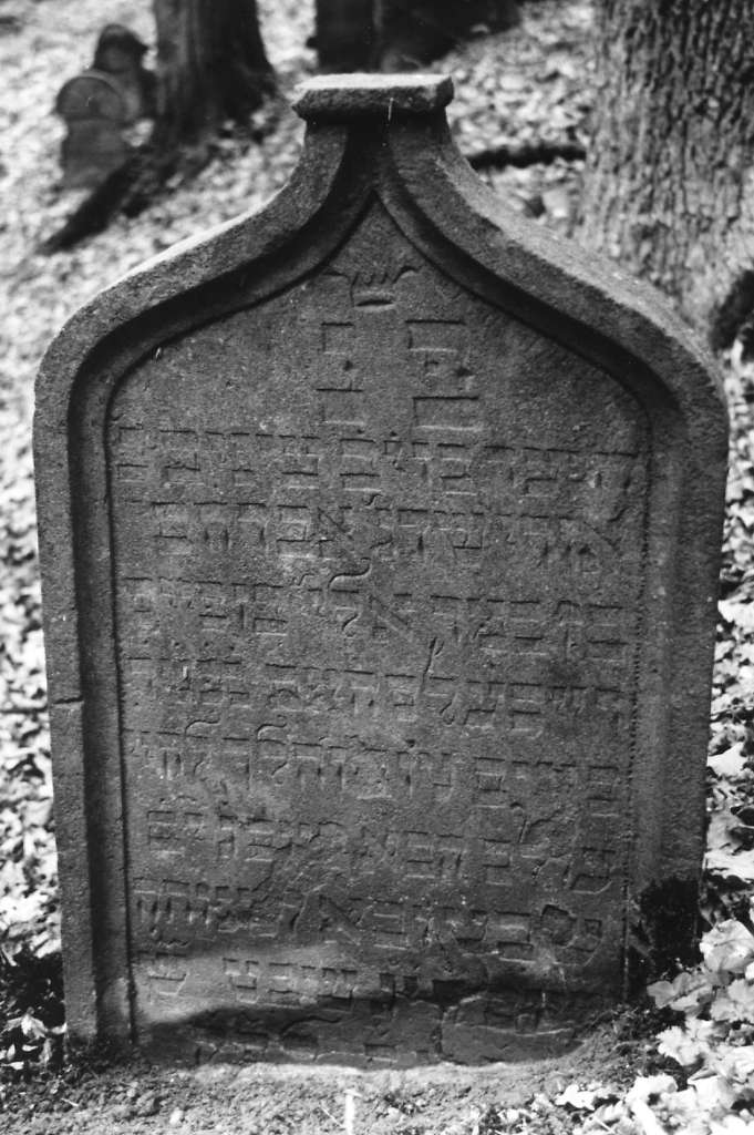 Michelstadt-120_V_1