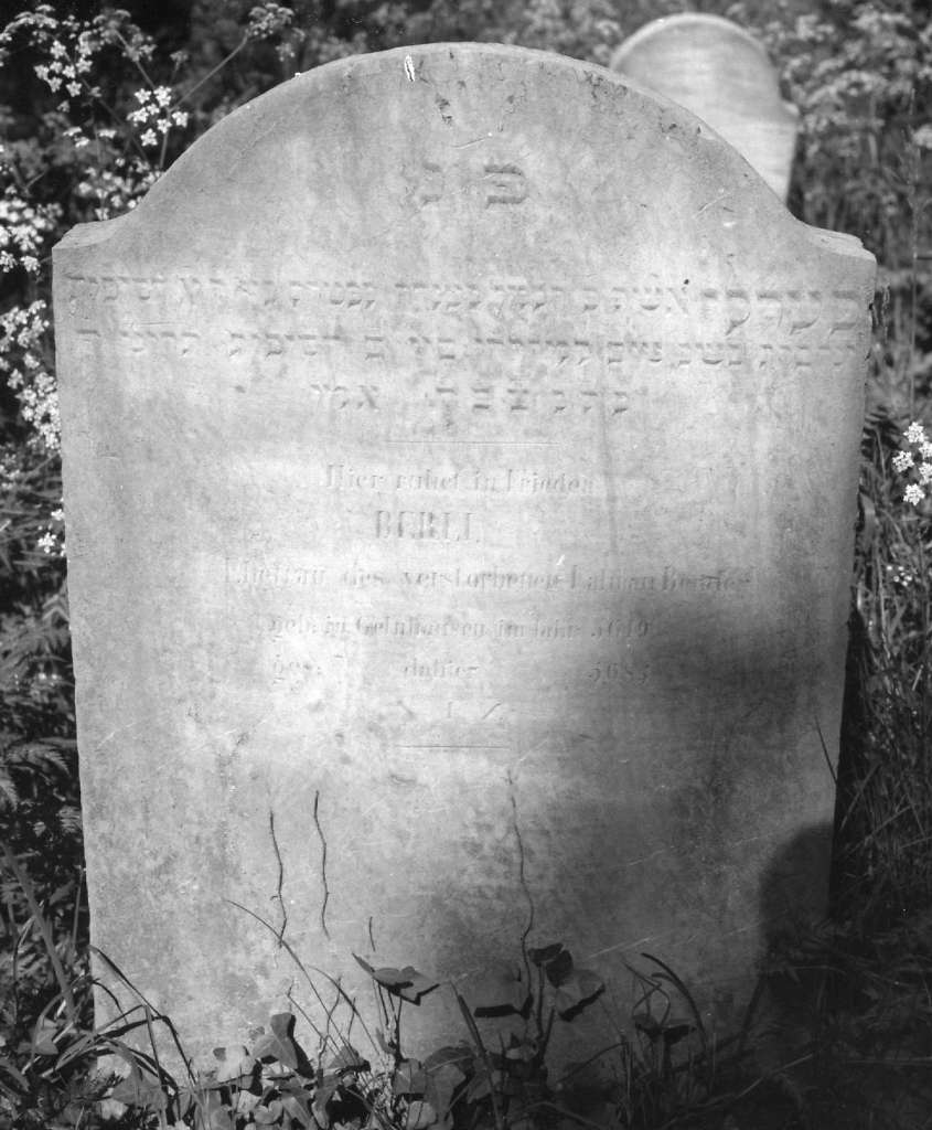 Seulberg-121_V_1
