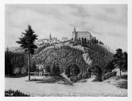 Ansicht von Altwildungen und Schloss Friedrichstein, 1878