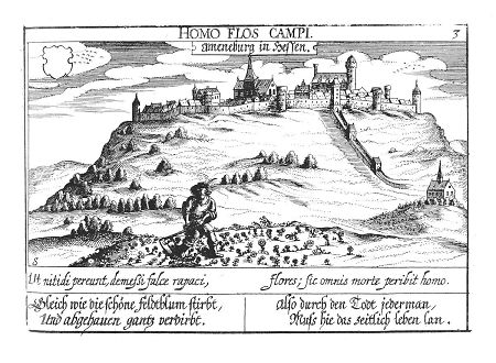 Ansicht von Amöneburg, 1631