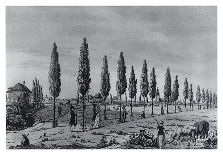 Promenade nach Bornheim über die Heide, um 1800