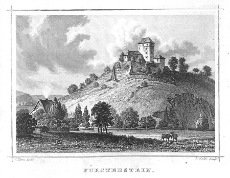 Ansicht der Burg Fürstenstein, 1850