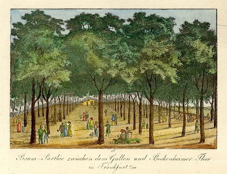 Ansicht einer Baumpartie in Nähe von Gallustor und Bockenheimer Tor, 1825