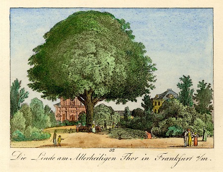 Die Linde am Allerheiligentor, 1825