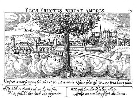 Ansicht von Herborn, 1625