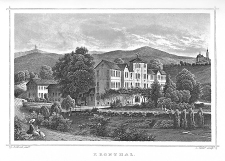 Blick in das Kronthal nahe Kronberg, 1862