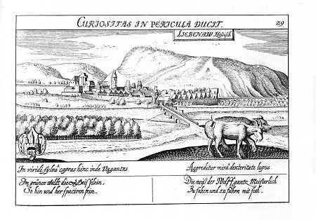 Ansicht von Liebenau, 1629