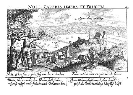 Ansicht von Sonnenberg, 1625
