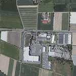 Die Lage von Am Sportplatz im Orthofoto