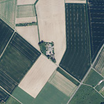 Die Lage von Buchenhorster Hof im Orthofoto