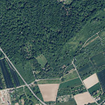 Die Lage von Gut Wilhelmstal im Orthofoto