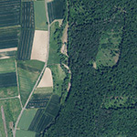 Die Lage von Neu-Mühle im Orthofoto