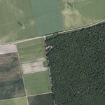 Die Lage von Forsthaus im Orthofoto