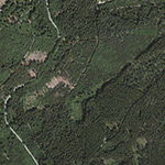 Die Lage von Jagdhaus Hirschwiese im Orthofoto