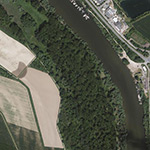 Die Lage von Am Altrhein im Orthofoto