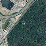 Die Lage von Mönchwald im Orthofoto