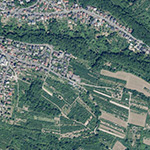 Die Lage von Wiesenhof im Orthofoto