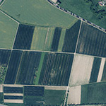 Die Lage von Mittelstedten im Orthofoto