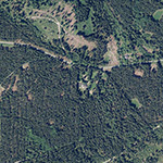 Die Lage von An der Siegfriedstraße im Orthofoto