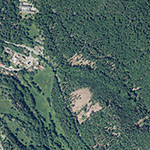 Die Lage von Forsthaus im Orthofoto