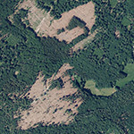 Die Lage von Hütte im Orthofoto