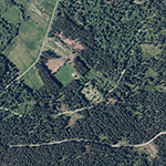 Die Lage von Römerkastell Feldberg im Orthofoto