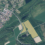 Die Lage von Seemühle im Orthofoto