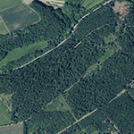 Die Lage von Eisenhütte Milsenberg im Orthofoto