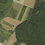 Die Lage von Hof Lauer im Orthofoto
