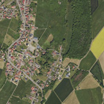Die Lage von Erlenmühle im Orthofoto