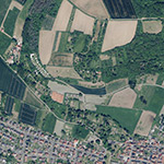 Die Lage von Am Weidenborn im Orthofoto