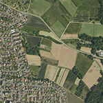 Die Lage von Obermühle im Orthofoto