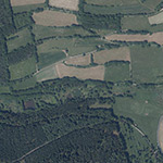 Die Lage von Jagdhütte im Orthofoto