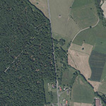 Die Lage von Forsthaus im Orthofoto