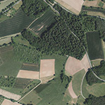 Die Lage von Waldschmiede im Orthofoto