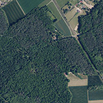 Die Lage von Tannenhof im Orthofoto